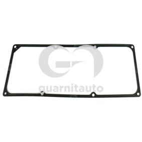 Ventildeckeldichtung für RENAULT von GUARNITAUTO