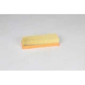 Køb Luftfilter af BSG BSG 25-135-006 til den lave pris 264,06 DKK