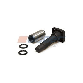 Acquista Boccola, Perno fuso a snodo da AUGER 55270 a buon mercato per soli 4,98 €