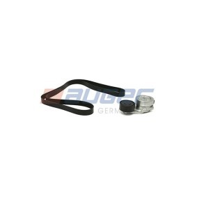 Keilrippenriemensatz des Herstellers AUGER - Originalware Artikelnummer: 84579