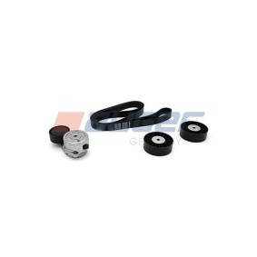 Keilrippenriemensatz des Herstellers AUGER - Originalware Artikelnummer: 84582
