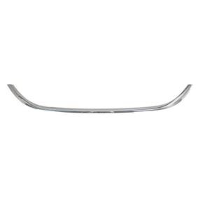 Comprar Listón embellecedor / protector, panal de radiador de BLIC 6502-07-2030993P a bajo precio de 52,93 €