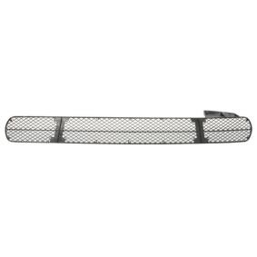 Lüftungsgitter, Stoßfänger 6502-07-2093910P von BLIC günstig für 11,72 € online kaufen