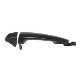 Türgriff ZR80688 von ELECTRIC LIFE günstig für 29,89 € online kaufen