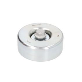 Umlenk- / Führungsrolle, Keilrippenriemen E2N0013BTA von BTA günstig für 62,74 € online kaufen