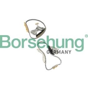 Steuerkettensatz von Borsehung
