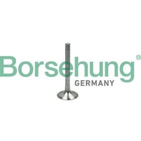 Køb Udstødningsventil af Borsehung B19000 til den lave pris 153,96 DKK