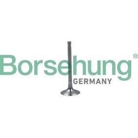 Einlaßventil B19024 von Borsehung günstig für 9,01 € online kaufen
