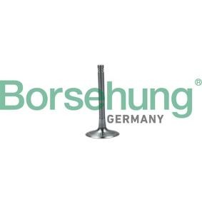Einlaßventil B19027 von Borsehung günstig für 12,33 € online kaufen