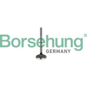 Einlassventil von Borsehung