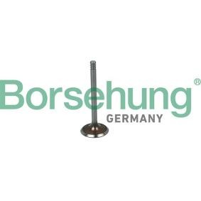 Einlaßventil für AUDI von Borsehung