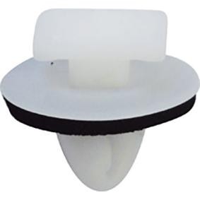 Clip, Zier- / Schutzleiste 12457 von RESTAGRAF günstig für 8,76 € online kaufen