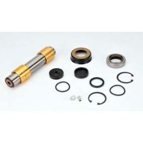 Acquista Kit riparazione, Perno fuso a snodo da LEMA 807 a buon mercato per soli 52,39 €