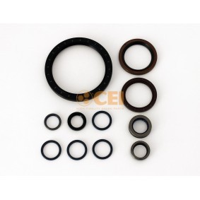 Acquista Kit guarnizioni, Cambio manuale da CEI 198.838 a buon mercato per soli 52,29 €