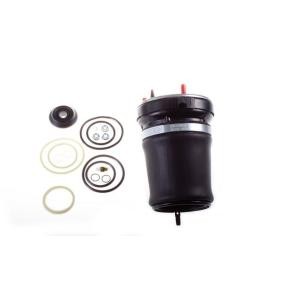 Compre Mola pneumática da DENCKERMANN DSA108G a um preço baixo por 352,62 €