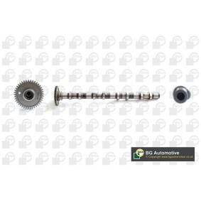 Nockenwelle für BMW von BGA
