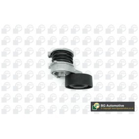 Umlenk- / Führungsrolle, Keilrippenriemen DC0910 von BGA günstig für 24,78 € online kaufen