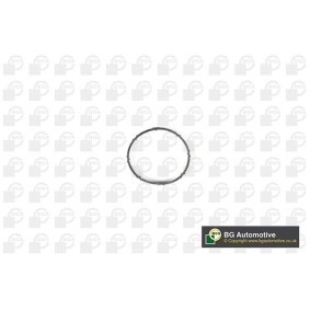 Acquista Kit guarnizioni, Collettore aspirazione da BGA MG1201 a buon mercato per soli 10,44 €