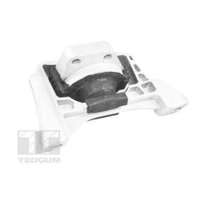Motorlager TED57572