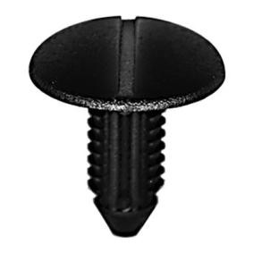 Clip, Zier- / Schutzleiste 221353 von RESTAGRAF günstig für 6,92 € online kaufen