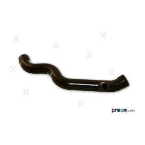 Schlauch, Zylinderkopfhaubenentlüftung P326036 von PREXAparts günstig für 10,78 € online kaufen