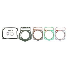 Compre Jogo de juntas, cabeça do cilindro da RMS 10 068 9500 a um preço baixo por 79,81 €