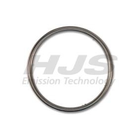 Acquista Guarnizione, catalizzatore da HJS 83 21 2967 a buon mercato per soli 4,37 €