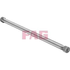 Federn des Herstellers FAG - Originalware Artikelnummer: 812 0003 10