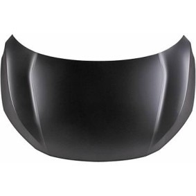 Motorhaube 5250000 von DIEDERICHS günstig für 221,31 € online kaufen