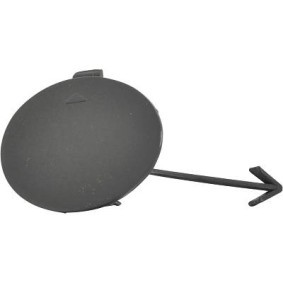 Klappe, Abschlepphaken 6806162 von DIEDERICHS günstig für 12,63 € online kaufen