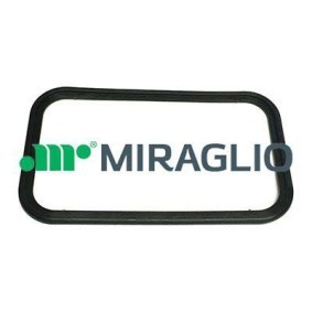 Türgriff für VOLVO von MIRAGLIO