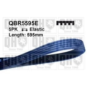 Keilrippenriemen QBR5595E von QUINTON HAZELL günstig für 15,47 € online kaufen