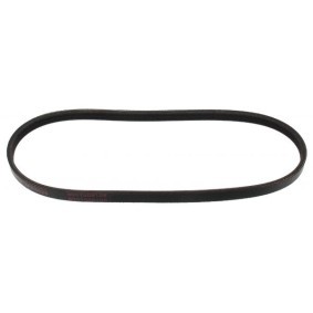 Keilrippenriemen 230628E von MAPCO günstig für 16,78 € online kaufen