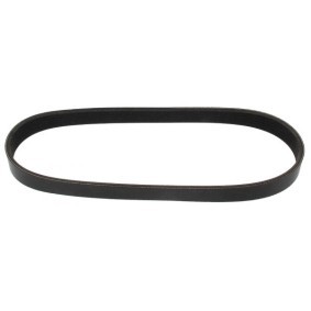 Acquista Cinghia servizi da MAPCO 260684E a buon mercato per soli 8,81 €