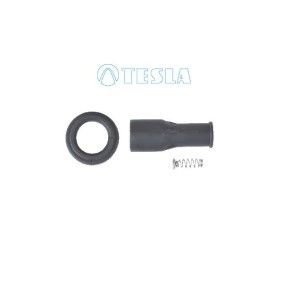 Acquista Cappuccio, Candela d'accensione da TESLA CP079 a buon mercato per soli 5,78 €