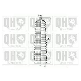 Compre Jogo de foles, direcção da QUINTON HAZELL QG1470 a um preço baixo por 18,14 €