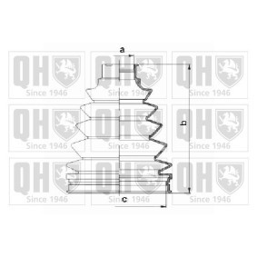 Compre Jogo de foles, veio de transmissão da QUINTON HAZELL QJB1093 a um preço baixo por 14,51 €