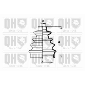 Compre Jogo de foles, veio de transmissão da QUINTON HAZELL QJB130 a um preço baixo por 13,11 €