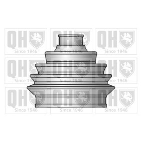 Compre Jogo de foles, veio de transmissão da QUINTON HAZELL QJB148 a um preço baixo por 14,02 €