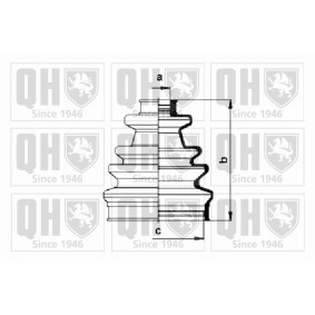 Compre Jogo de foles, veio de transmissão da QUINTON HAZELL QJB153 a um preço baixo por 7,87 €