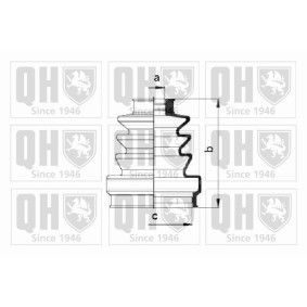 Compre Jogo de foles, veio de transmissão da QUINTON HAZELL QJB165 a um preço baixo por 7,58 €