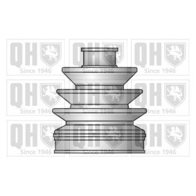 Compre Jogo de foles, veio de transmissão da QUINTON HAZELL QJB200 a um preço baixo por 14,83 €