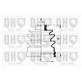 Compre Jogo de foles, veio de transmissão da QUINTON HAZELL QJB270 a um preço baixo por 8,76 €