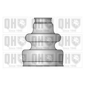 Compre Jogo de foles, veio de transmissão da QUINTON HAZELL QJB473 a um preço baixo por 18,14 €