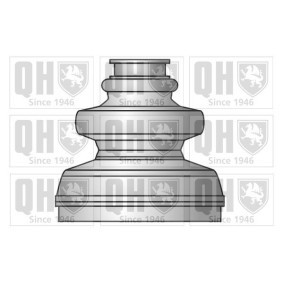 Compre Jogo de foles, veio de transmissão da QUINTON HAZELL QJB559 a um preço baixo por 11,45 €