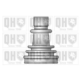Compre Jogo de foles, veio de transmissão da QUINTON HAZELL QJB621 a um preço baixo por 10,95 €