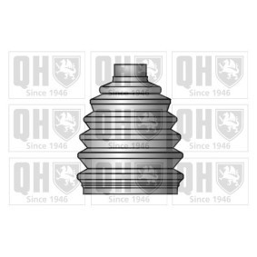 Compre Jogo de foles, veio de transmissão da QUINTON HAZELL QJB750 a um preço baixo por 17,11 €
