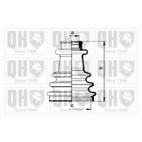 Compre Jogo de foles, veio de transmissão da QUINTON HAZELL QJB850 a um preço baixo por 11,07 €