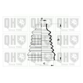 Compre Jogo de foles, veio de transmissão da QUINTON HAZELL QJB880 a um preço baixo por 11,83 €