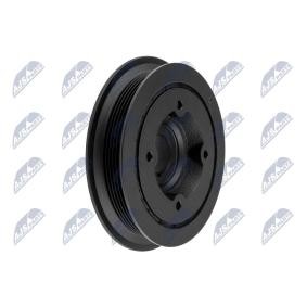 Comprar Polea de cigüeñal de NTY RKP-PL-001 a bajo precio de 92,81 €